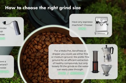Free Exhale Coffee Trial Bag