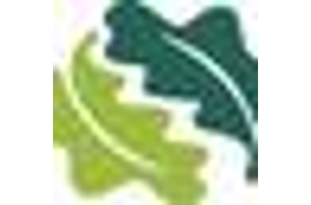 Woodland Trust Free Tree Packs for Schools & Communities