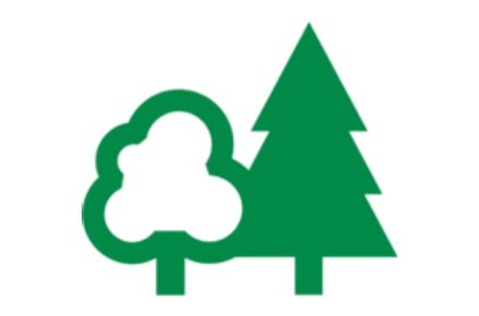 Free Forestry England Tree Explorer Activity Pack