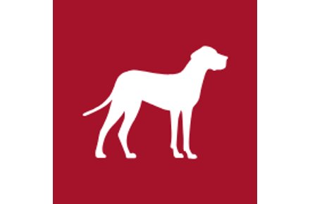 Free Karndean Flooring Chip Samples and Brochures