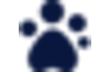 Free Will Writing Service from Guide Dogs