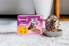 Free Whiskas Cat Food