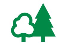 Free Forestry England Tree Explorer Activity Pack