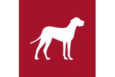 Free Karndean Flooring Chip Samples and Brochures
