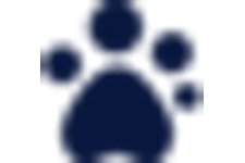 Free Will Writing Service from Guide Dogs