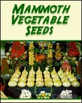 Robinsons Mammoth Vegetable Seeds Newsletter cover from 25 July, 2012