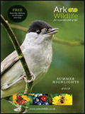 Ark Wildlife Catalogue cover