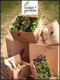 Rocket Gardens Newsletter cover