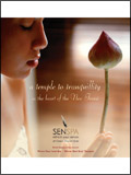 SenSpa Brochure cover