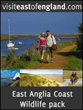 East Anglia Coast Wildlife pack Brochure cover