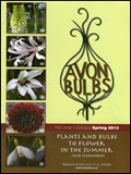 Avon Bulbs Catalogue cover