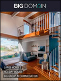 Big Domain Newsletter cover