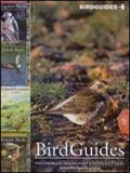 BirdGuides Catalogue cover