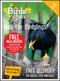 Birds and Bees Catalogue cover