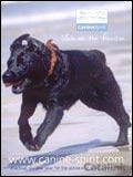 Canine Spirit Catalogue cover