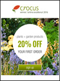 Crocus Newsletter cover