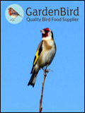 GardenBird Newsletter cover