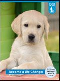 Guide Dogs for the Blind Life Changer Pack Guide Dogs for the Blind Life Changer Pack