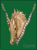 Harriet Glen Design Catalogue cover