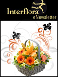 Interflora Newsletter cover