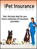 iPet Insurance Newsletter cover