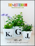 The Letteroom Newsletter cover