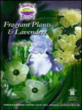 Norfolk Lavender Limited Catalogue cover