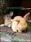 UK Rabbit Hutches