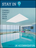 Stay In Newsletter cover