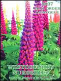 Westcountry Nurseries Catalogue cover