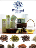 Whittard of Chelsea Newsletter cover