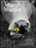 Wiggly Wigglers Wiggly Wigglers